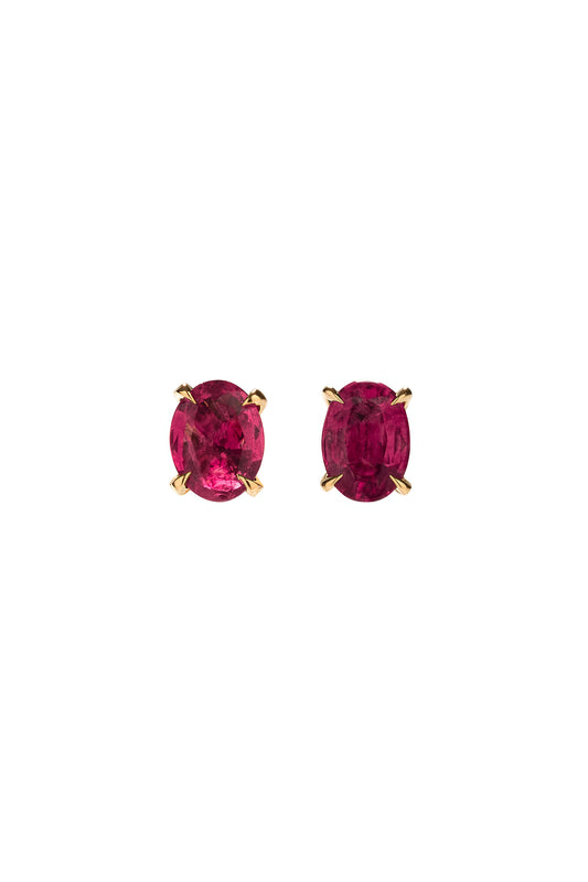 Rubellite earrings in 18k yellow gold